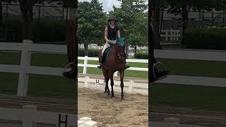 VERY old ride #equestrianshow #equestrian #armandosfi #horse #dressage