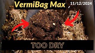 Vermibag Max -  Needs More Moisture 11/12/2024