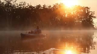 Fish For Life NSW