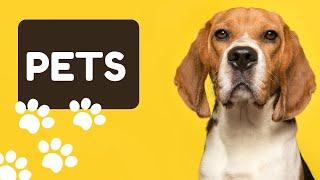 Learn Names of Pets for Kids - Pet Animal Names and Sounds for Children, Kindergarten and Preschool