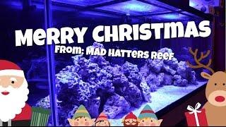 Merry Christmas | ATO Poll Results