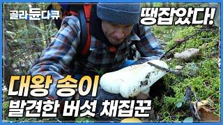 몸값 비싼 자연산 송이버섯 지천에 널린 나라│생선 맛 나는 특이한 랍스터 버섯까지│로키 산맥 버섯 채집꾼│세계테마기행│#골라듄다큐