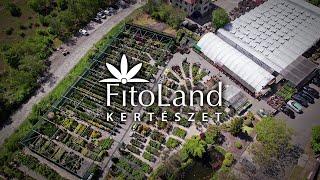 Fitoland Kertészet és Díszfaiskola a Kamaraerdőnél