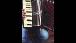 VAND ACORDEON HOHNER VERDI II !