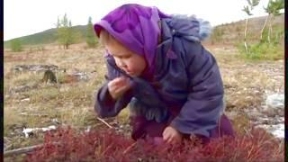 how reindeer herders kids survive in a remote camping in north Siberia far from civilization