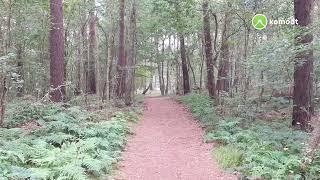 10  September 2023 Buchholz in der Nordheide Short Version