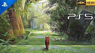 (PS5) Stray is simply the Cutest game ever... [4K HDR 60 FPS Gameplay]