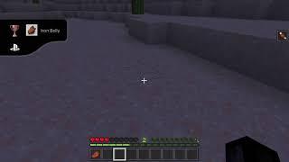 Minecraft_20210309181539