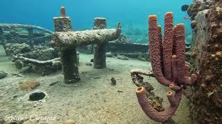 Duiken in de caribbean, Curacao bij de Tugboat 16 03 2022