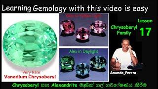 L 17 | Chrysoberyl සහ Alexandrite මැණික් ගල් ගවේෂණය කිරීම | Exploring Chrysoberyl & Alexandrite Gems