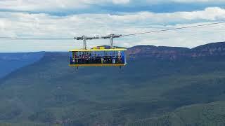 Scenic World 2024