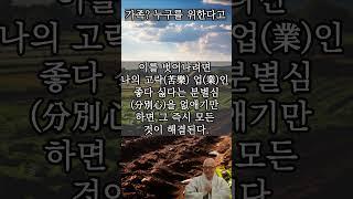 가족? 누구를 위한다고? - 진우스님의 오늘의 명상  #불교 #진우스님 #명상