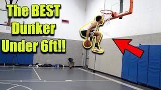 How HIGH Can 5'11" Tyler Currie Jump??