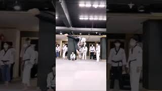 Martial Arts Mix- Short