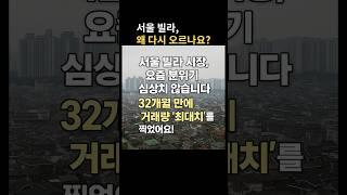 서울 빌라, 지금이 기회? 거래량 30%↑ 이유는 이것!