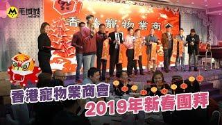 【MoNews】香港寵物業商會2019年新春團拜 來年有咩新搞作？