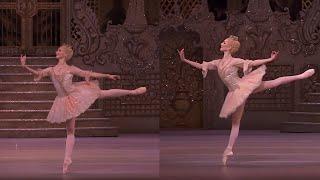 Royal Ballet's Sugar Plum Fairies (Split Screen): Cuthberson - Lamb