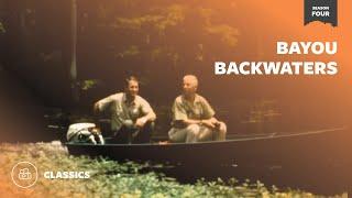 Bayou Backwaters | Mutual of Omaha's Wild Kingdom