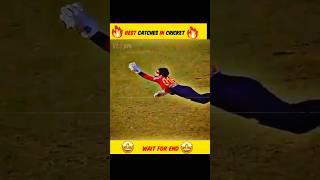 5 Best Catches in Cricket 