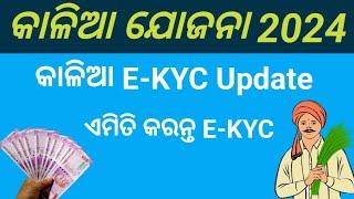 Kalia Yojana Kyc Kemiti Kariba 2024 | Kalia Yojana Kyc | Kalia Yojana Ekyc Update Online | Kalia Kyc