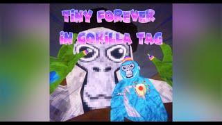 TINY FOREVER IN THE NEW BASEMENT UPDATE | Gorilla Tag