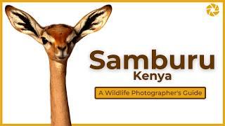 Samburu - A Wildlife Photographer's Guide.