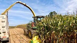 Corn chopping is finally rolling!