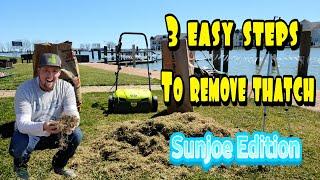 3 Easy Steps to Remove Thatch | Sunjoe Edition