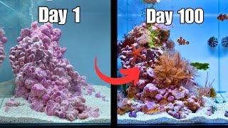 I MADE A NANO REEF TANK FOR CLOWNFISH! Easy Step by Step Tutorial