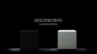 Definitive Technology Descend DN10 Subwoofer