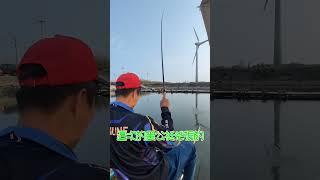 看浮標浮沉，享受釣魚人生 ep.12 #台釣 #池釣 #浮標 #浮標信號 #福壽魚 #台灣鯛 #黑坑 #手作浮標 #釣魚 #建興釣魚池 #手竿