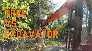 TREE VS. EXCAVATOR