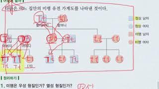 6-1-3. 사람의 형질은 어떻게 유전될까?(1)