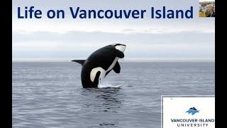 Life on Vancouver Island