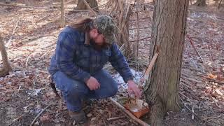 Gathering maple sugar the traditional Anishinaabe way