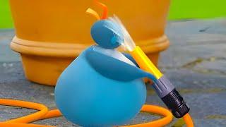 Yüzüme su çarptı! | Twirlywoos | Türk Çocuk Çizgi Filmleri | WildBrain Çocuklar