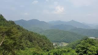 #강원정선 깊은 산골 멋진 경치외 & 임야임장기