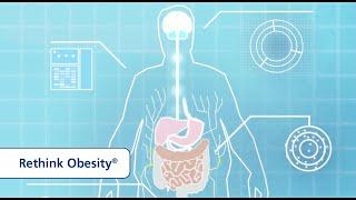 The Science Behind Obesity