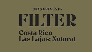 Brew Guides Las Lajas Natural Filter