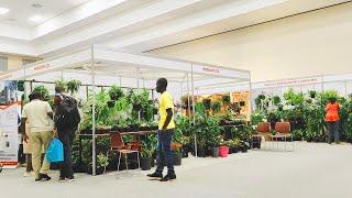 Homes & Garden Fair 2022 at Sarit Expo Centre