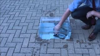 BeachBuoy Waterproof Case Dunk Test