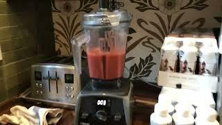 Vitamix   V1200 Venturist Blender Review