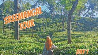 শ্রীমঙ্গল ট্যুর |Sreemangal Tour | অরন্যের দিনরাত্রি রিসোর্ট| Oronner Din Ratri Resort | Day1 #vlog