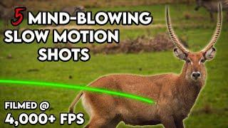 We Took a $200K Camera Bow Hunting | TOP 5 Archery Shots in Slo Motion |