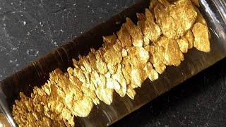 NEW ZEALAND Wonderful Gold Prospecting - Goldendives