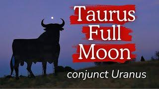 Taurus Full Moon conjunct Uranus  Friday November 15, 2024