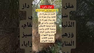  لستَ مقيمًا هنا... الدنيا دار سفر#موعظة#حكمة_اليوم