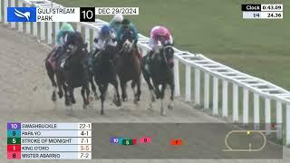 Gulfstream Park Carrera 10 - 29 de Diciembre 2024