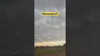 Beautiful  mammatus!!! #txwx #weather #clouds