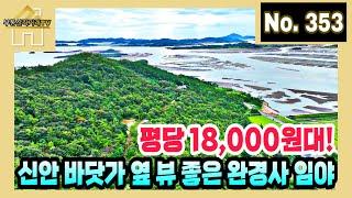 [가격조정]신안 바다뷰! 평당 18,000원대! 지도읍 7~8분 거리! 전기 인입, 지하수 대공, 컨테이너 포함! 지대 높은 위치의 완경사 임야 /직거래 매물 [부동산직거래TV]